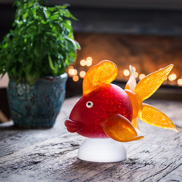 MuddADcTju4NTMgwoRwb_goldfish_queen_red_amb_01_SL_800x800_afa89e8f-6d1c ...